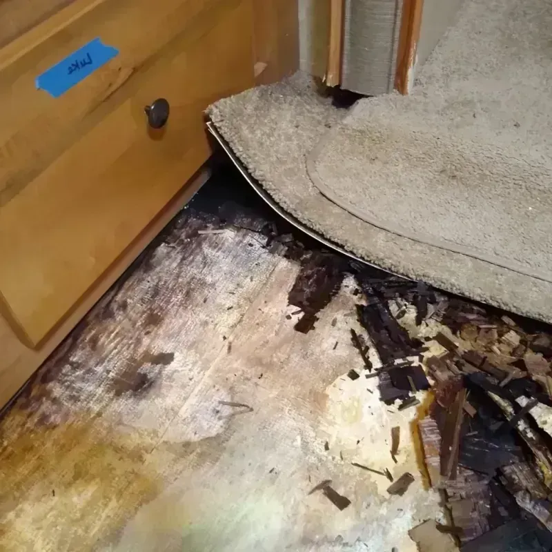 Wood Floor Water Damage in Wrangell, AK